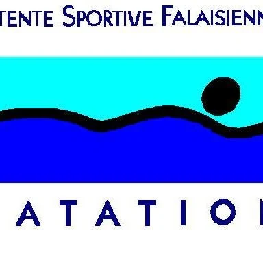 Logo Es Falaise