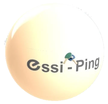 Logo Essi-Ping