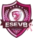 Logo Excellence Sud Essonne Volley Ball