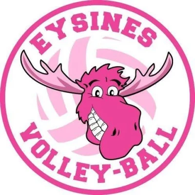 Logo Eysines Volley Ball
