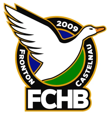 Logo Fronton Castelnau Handball