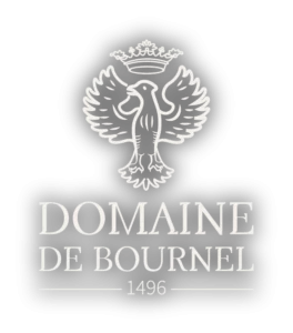 Logo Golf du Chateau de Bournel