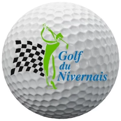 Logo Golf Public du Nivernais