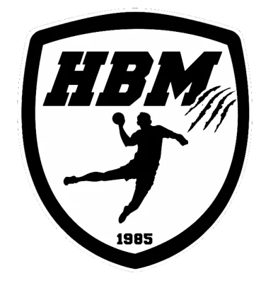 Logo Hand Ball Mothais