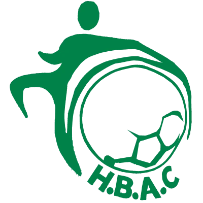 Logo Handball Avenir Couizanais