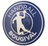 Logo Handball Bougival