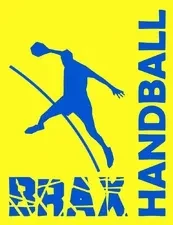 Logo Handball Brax