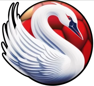 Logo Handball Club le Blanc