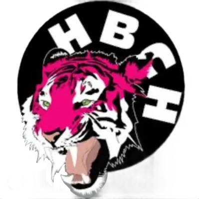 Logo Handball Hersin Coupigny