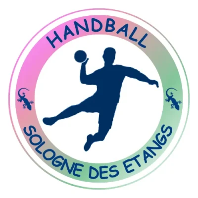 Logo Handball Sologne des Etangs