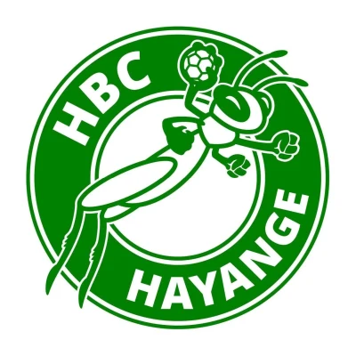 Logo Hayange