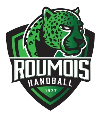 Logo HBC Roumois