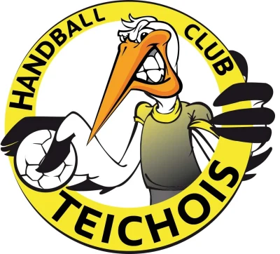 Logo HBC Teichois