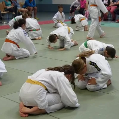 Logo JC Nancray Judo