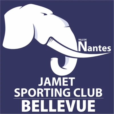 Logo JSC Bellevue