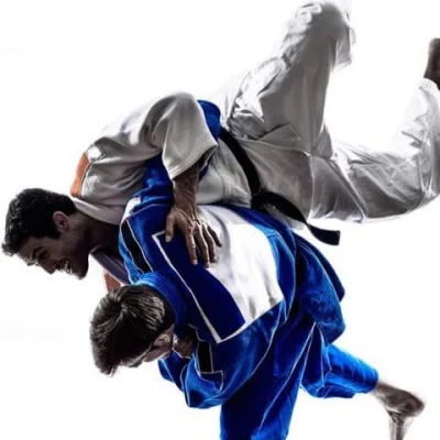Logo Judo Club de Mettray