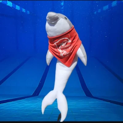 Logo Les Dauphins Uginois