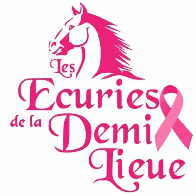 Logo Les Ecuries de la Demi Lieu