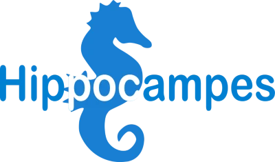 Logo Les Hippocampes Club Nautique
