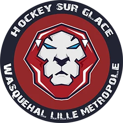 Logo Les Lions de Wasquehal