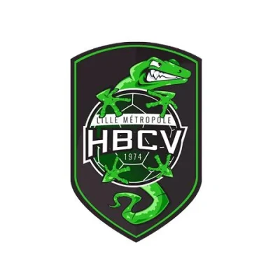 Logo Lille Metropole - Handball Club Villeneuve d'Ascq