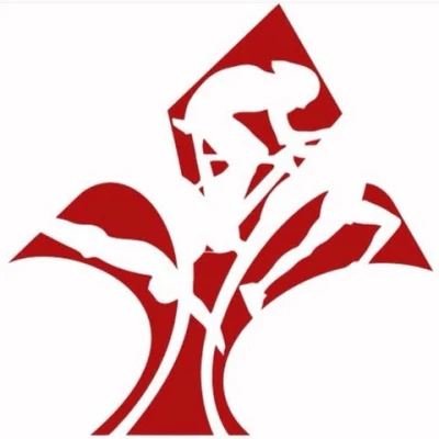 Logo Lille Triathlon