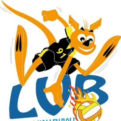 Logo Limours Volley-Ball