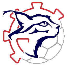 Logo LYNX Mulhouse Handball