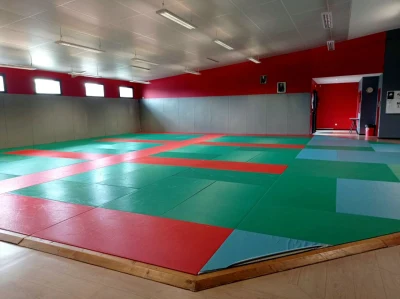 Logo Mazerolles Judo Soubestre