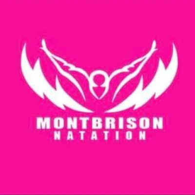 Logo Montbrison Natation