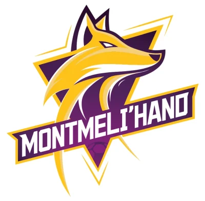 Logo Montmeli'Hand