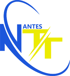 Logo Nantes Tennis de Table