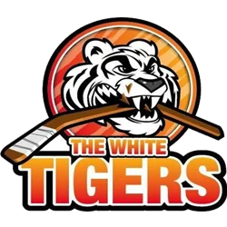 Logo Narbonne Hockey Club