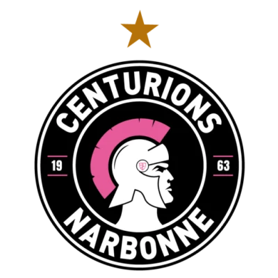 Logo Narbonne Volley