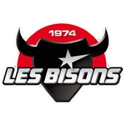 Logo Neuilly-sur-Marne Hockey Club