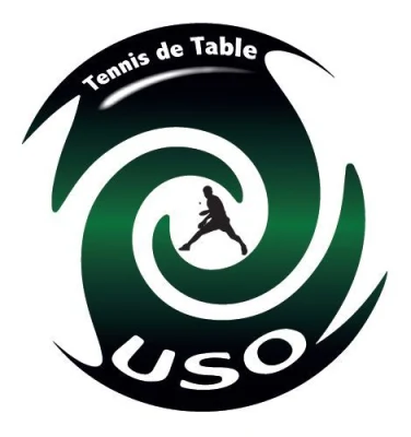 Logo Ormesson US