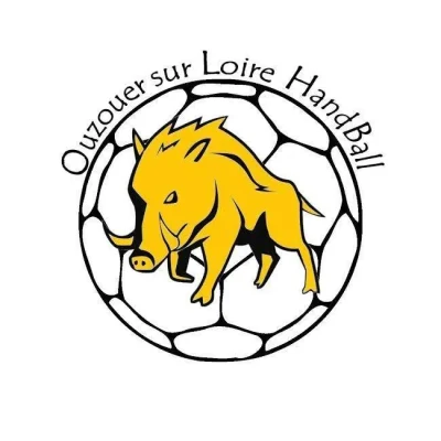 Logo Ouzouer sur Loire Handball