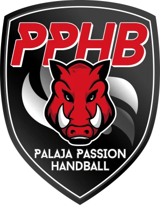 Logo Palaja Passion Handball