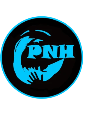 Logo Pays des Nestes Handball