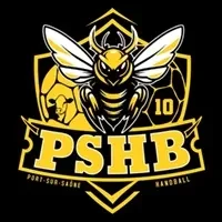 Logo Port-sur-Saone Handball
