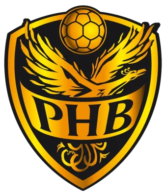 Logo Porterie Handball