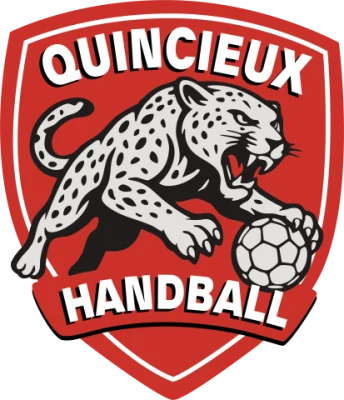 Logo Quincieux Handball