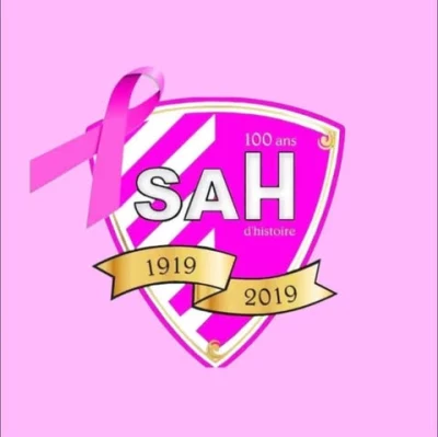 Logo SA Hagetmautien
