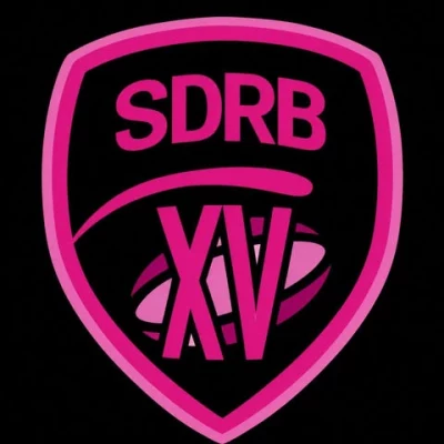 Logo Saint Die - Raon l Etape - Baccarat XV