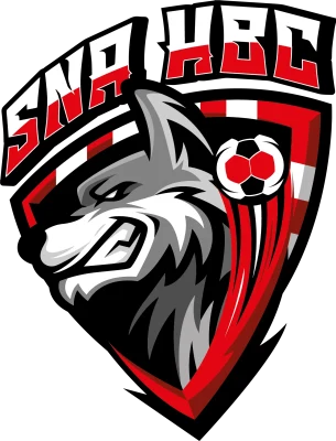 Logo Saint Nicolas d'Aliermont Handball Club