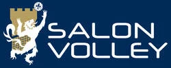 Logo Salon Volley