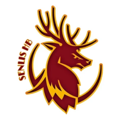 Logo Senlis Handball