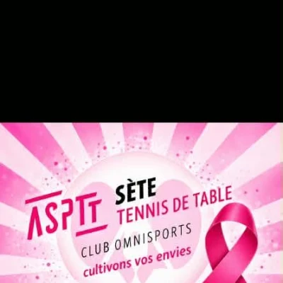 Logo Sete Tennis de Table