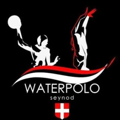 Logo Seynod Natation