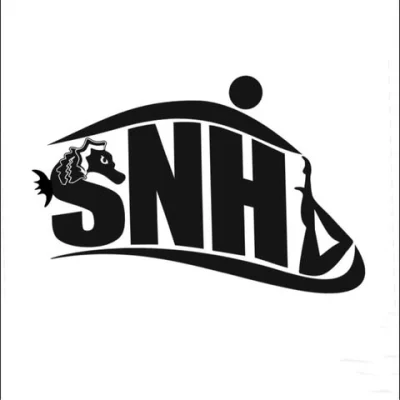 Logo SN Haguenau